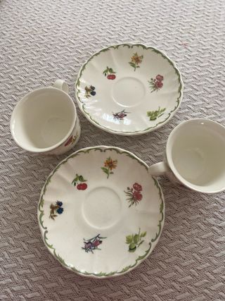 2 Tazas y Platos cafe San Claudio Flores Frutas