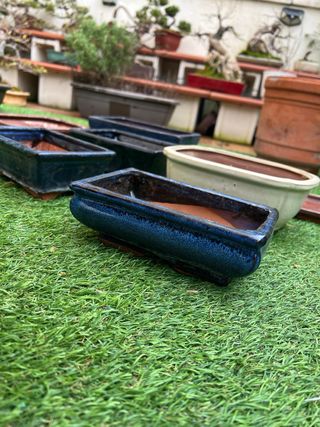 Lote Macetas y platos Bonsái Cerámica esmaltadas