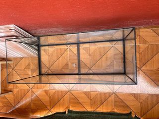 Acuario de cristal 100 Litros