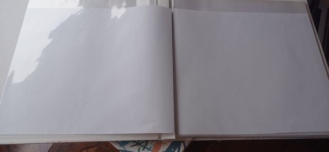 Albun de fotos +regalo otro albun