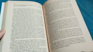 Wilbur Smith. Uccelli da preda.