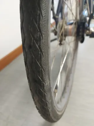 Bicicleta Gazelle Holandesa