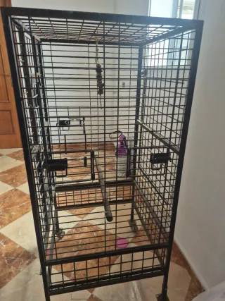 Jaula grande de hierro macizo