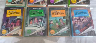 Colección libros "resuelve el misterio"
