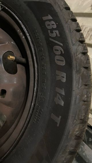 Neumático ALL WEATHER EVO