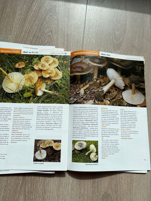 Libro por fasciculos Setas de Burgos