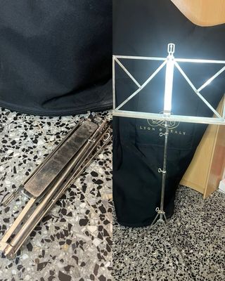 Arpa Lyon & Healy Ogden 34 cuerdas