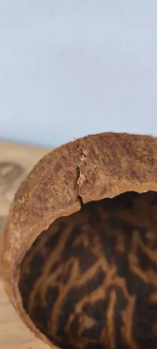 Ciotola in legno di cocco Santo Domingo 1992