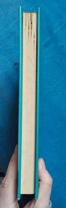 Roberto Cotroneo. Questo amore.