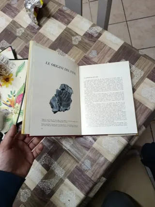 Libro   vini del mondo mondadori.