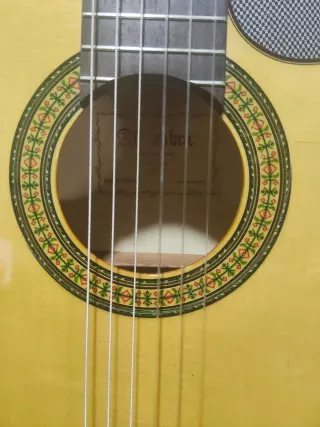 Guitarra Alhambra 3F CW