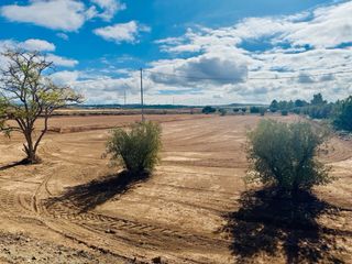 TERRENO URBANIZABLE EN LA PACA (LORCA)
