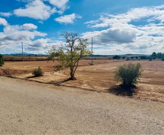 TERRENO URBANIZABLE EN LA PACA (LORCA)