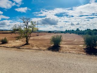 TERRENO URBANIZABLE EN LA PACA (LORCA)