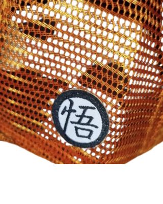 Gorra Goku Dragon Ball Z Malla Unisex
