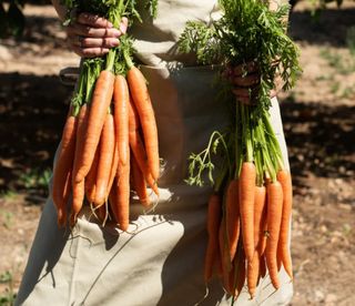 Huertos alquiler / Lloguer horts Osona