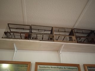 Jaulas con Funda de pájaros