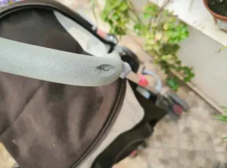 Silla de paseo Maclaren