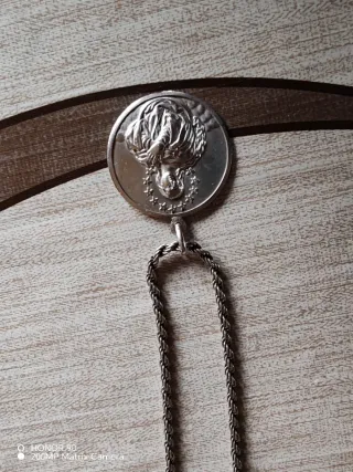 Cadena y colgantes de plata