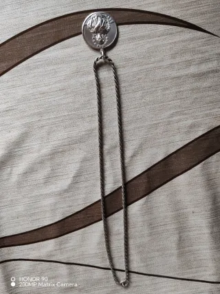 Cadena y colgantes de plata