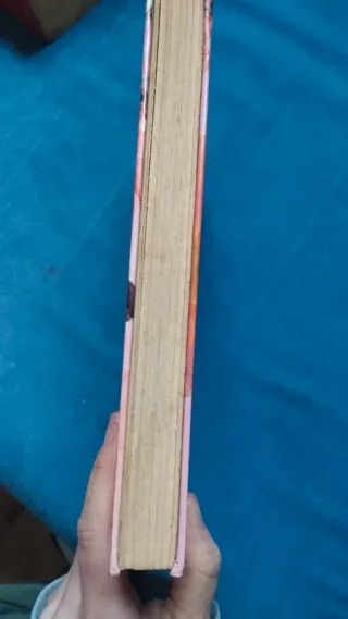 Robin Hood. Alexander Dumas