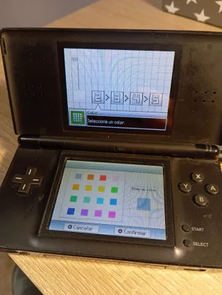 Nintendo DS Lite Negra + Brain Training