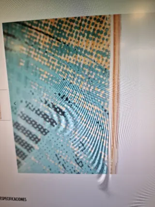 Jobe Savage Wake Skate 114 cm