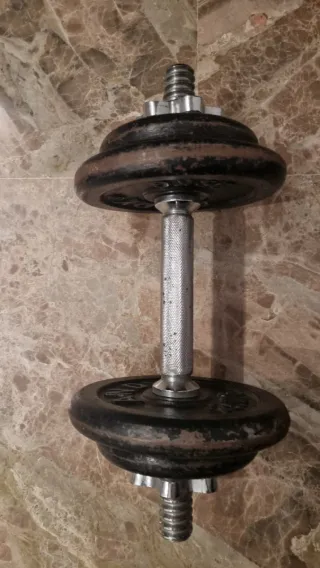 Mancuerna ajustables con discos