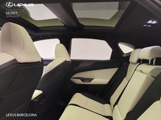 Lexus NX450+ f-sport 2025 REF 3214