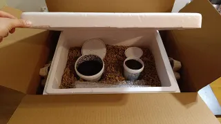 Kit para producir humus de lombriz