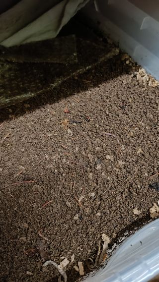 Kit para producir humus de lombriz