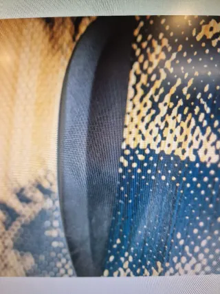 Jobe Exceed Wake skate