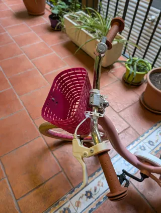 Bicicleta niña 18x2.125