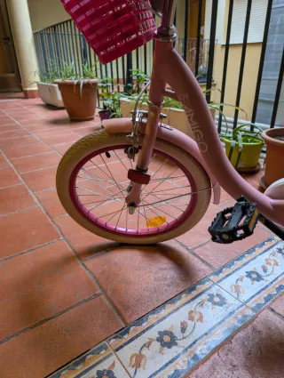Bicicleta niña 18x2.125