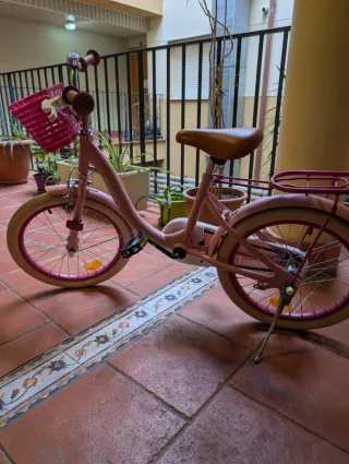 Bicicleta niña 18x2.125