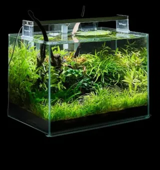 Acuario Blau Aquascaping 38L + Lampara + Bomba