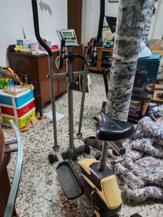 Elíptica gris y amarilla