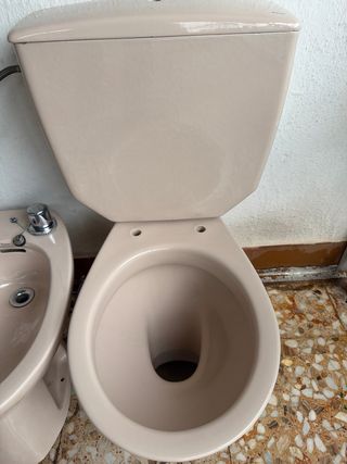 Conjunto Roca: Inodoro y Bidé Beige