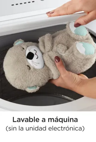 Nutria de Fisher Price ideal bebés, niños pequeños