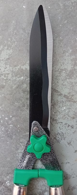 Set tijeras podar setos y ramas