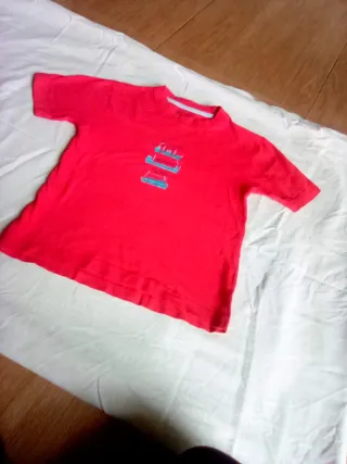 Lote de camisetas variadas