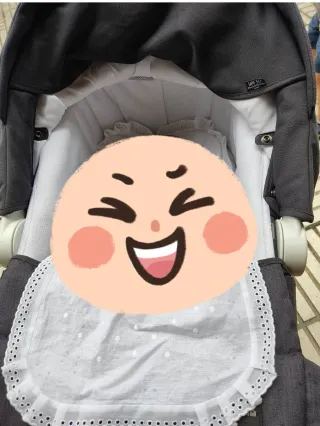 Silla de paseo Inglesina capazo