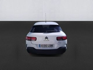 Citroen C4 Cactus BlueHDi 100 S&S Feel 73 kW (99 CV)