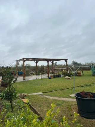 Pérgola de madera maciza. Ancho 5 m. Largo 8 m.