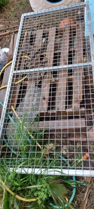 Puerta de hierro para exterior