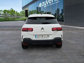 Citroen C4 Cactus BlueHDi 100 S&S C-Series 75 kW (102 CV)