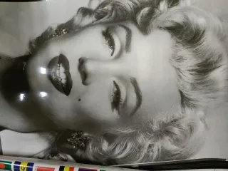 Pósters plastificados  Ver fotos  unidad a 5 euros