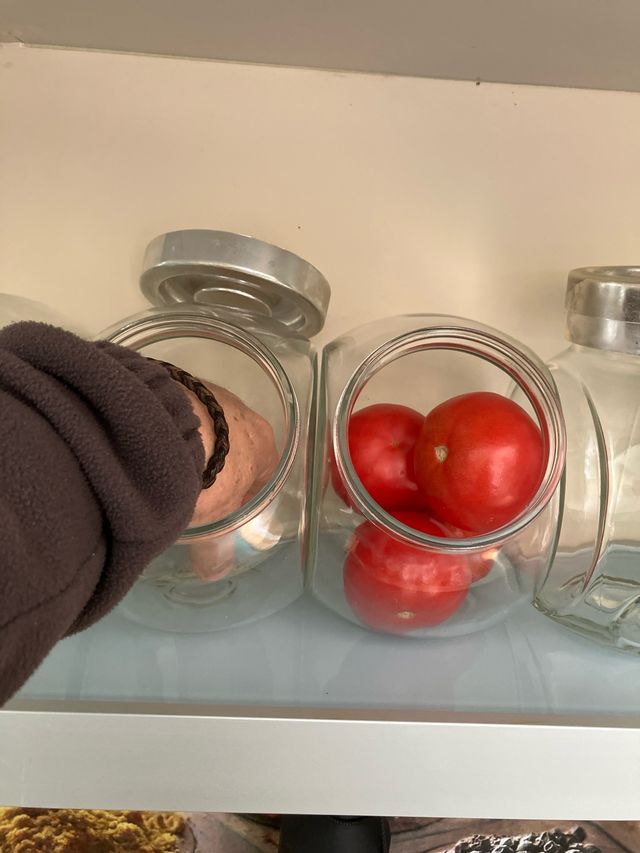 12 Botes de cristal con tapa para cocina