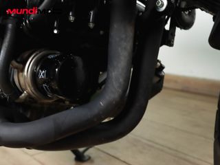 BENELLI LEONCINO 800