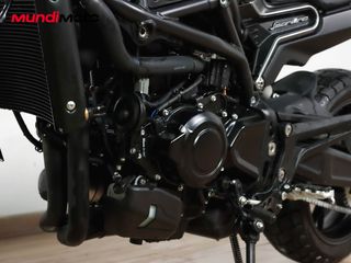 BENELLI LEONCINO 800